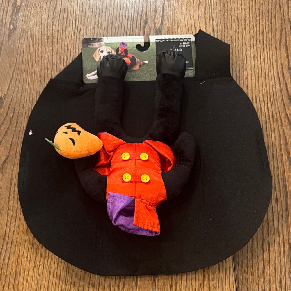 Ashland Halloween Pet Costume with Pumpkin and Witch Hat